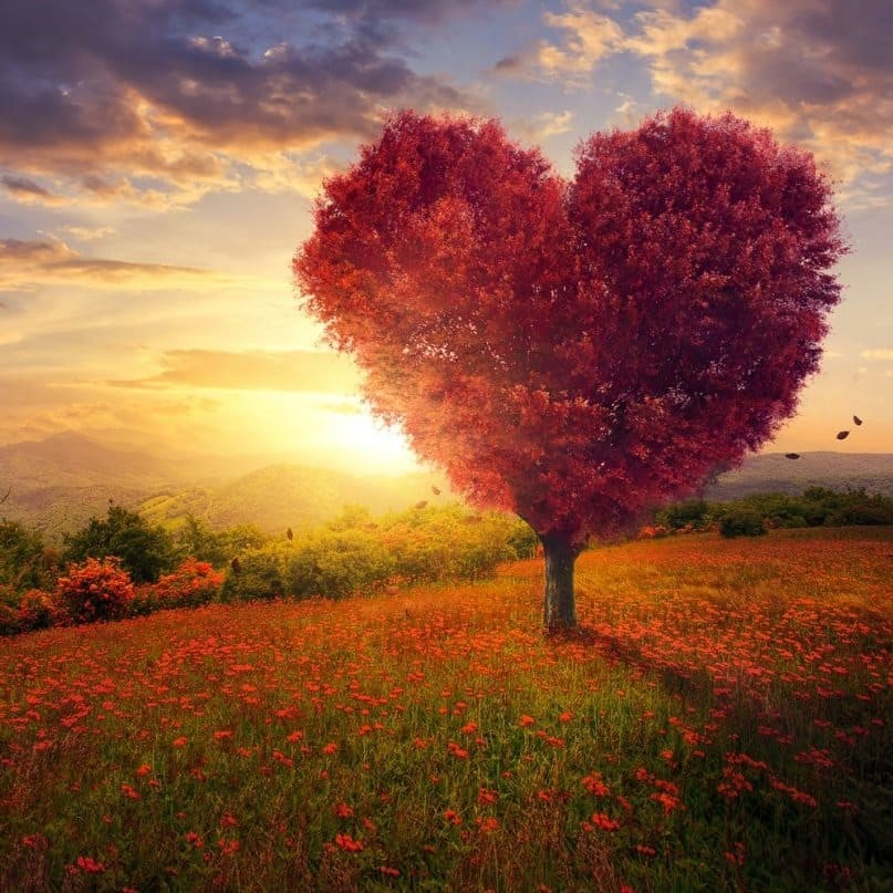 it-consulting-with-love